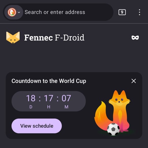 Screenshot of a countdown, advertising for the FIFA world cup.