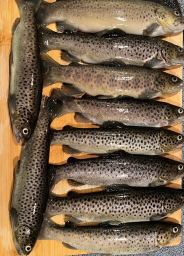 Trout on cutting board