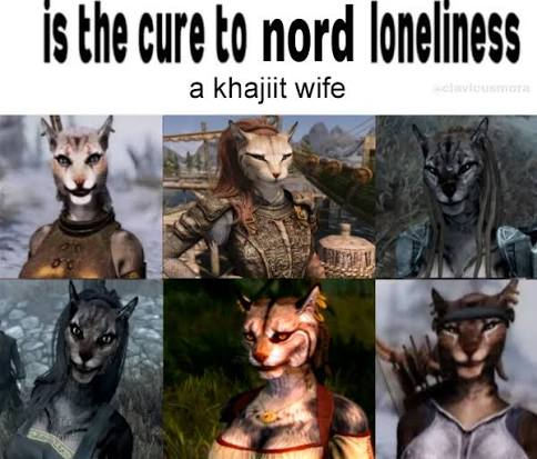 Is the cure to nord loneliness a khajiit wife? Followed by images of khajiit women.