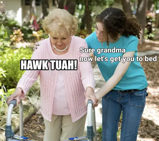(elderly woman being assisted) Hawk tuah! Sure grandma now let's get you to bed
